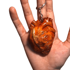 Heart Prosthetic & Keychain